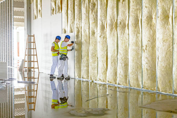 Best Insulation Maintenance and Repair in Plain City, OH